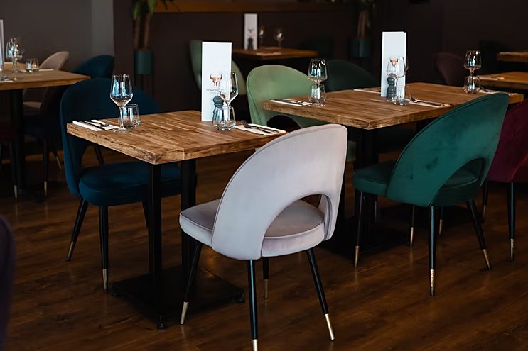 The Mosaic Kitchen dining room: dark walls, jewel-toned velvet chairs and warm low pendant lighting.